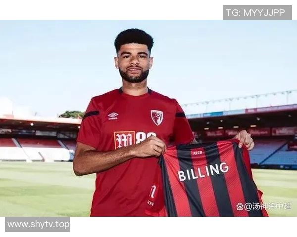 英超联赛各球队身价的比较与分析